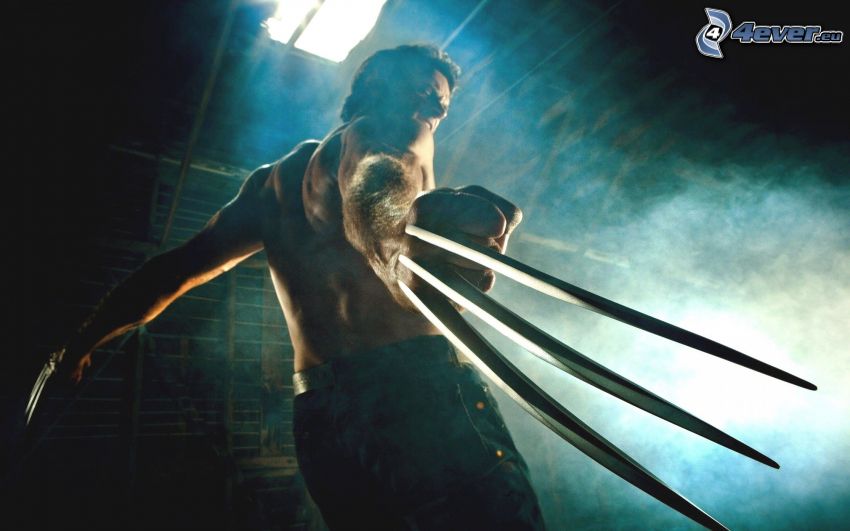 Wolverine