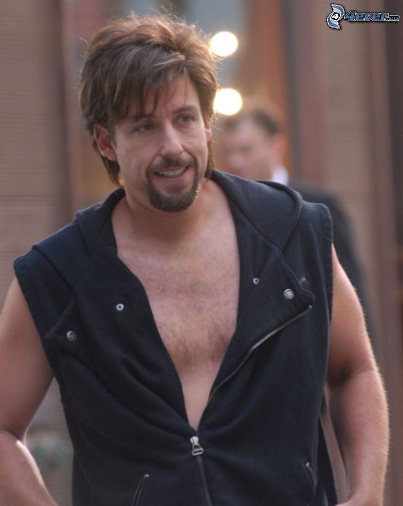 You Don't Mess with the Zohan, Adam Sandler