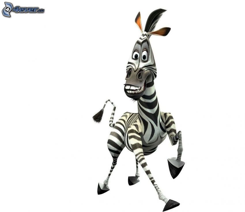 zebra from Madagascar