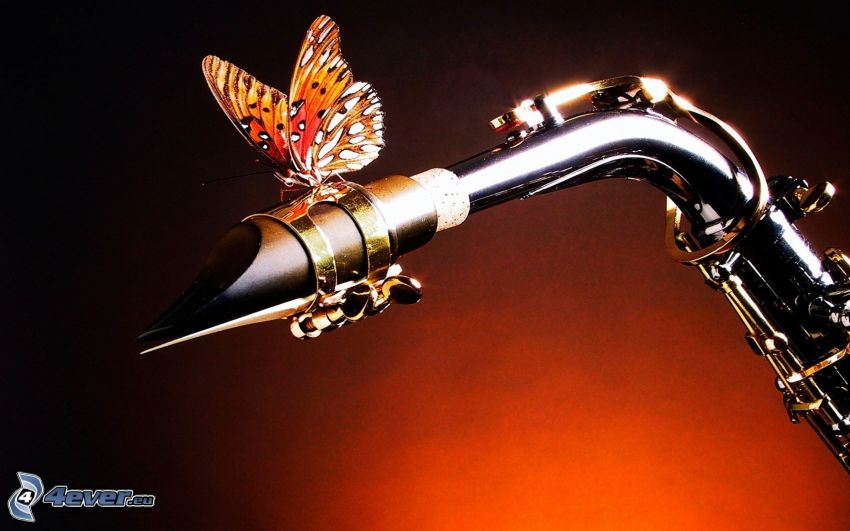 butterfly, saxophone