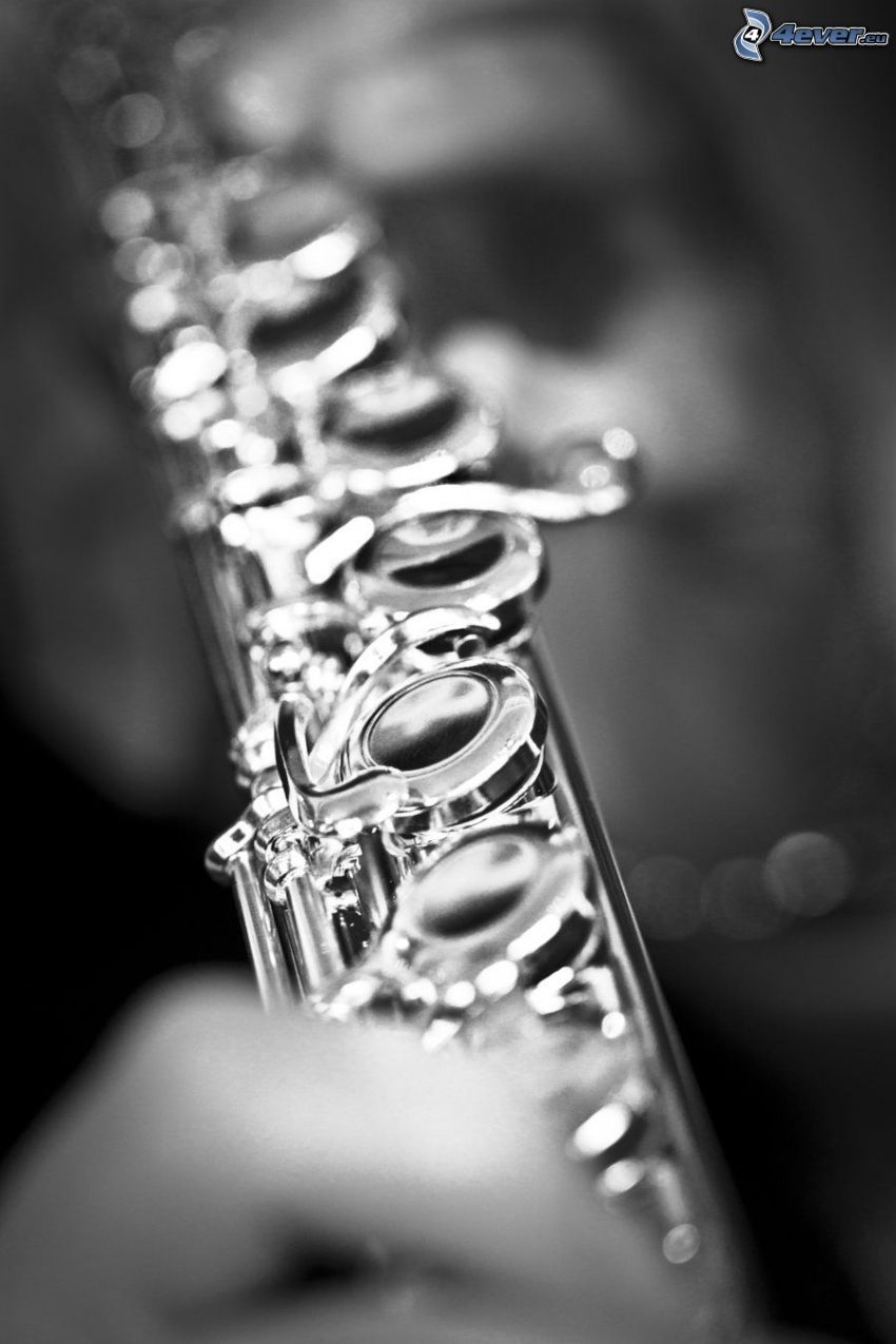 flute, black and white photo