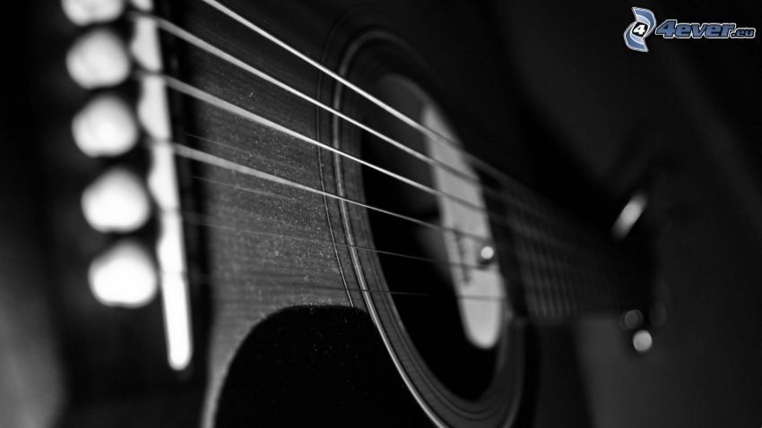 guitar, strings