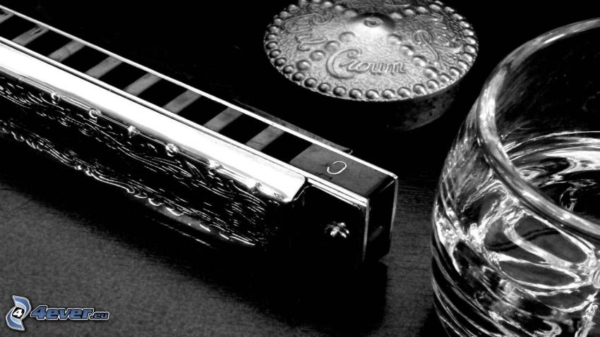 harmonica, cup, black and white photo