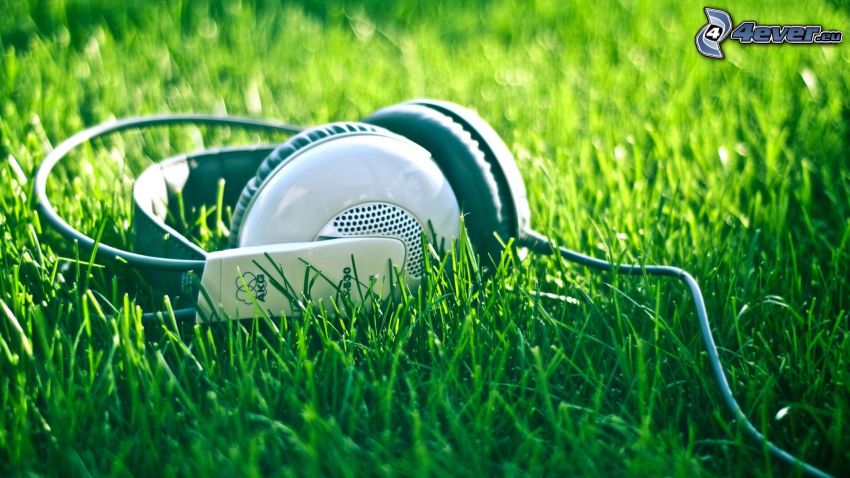 headphones, grass