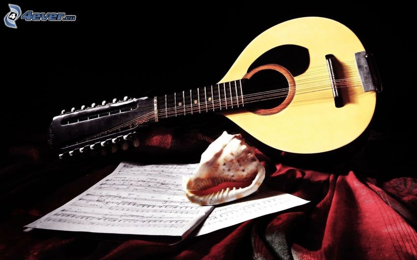 mandolin, sheet of music, shell