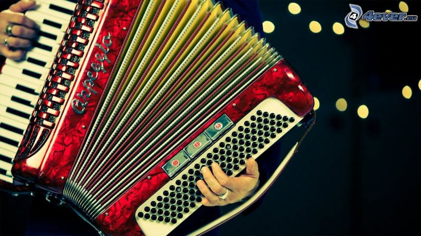 playing the accordion