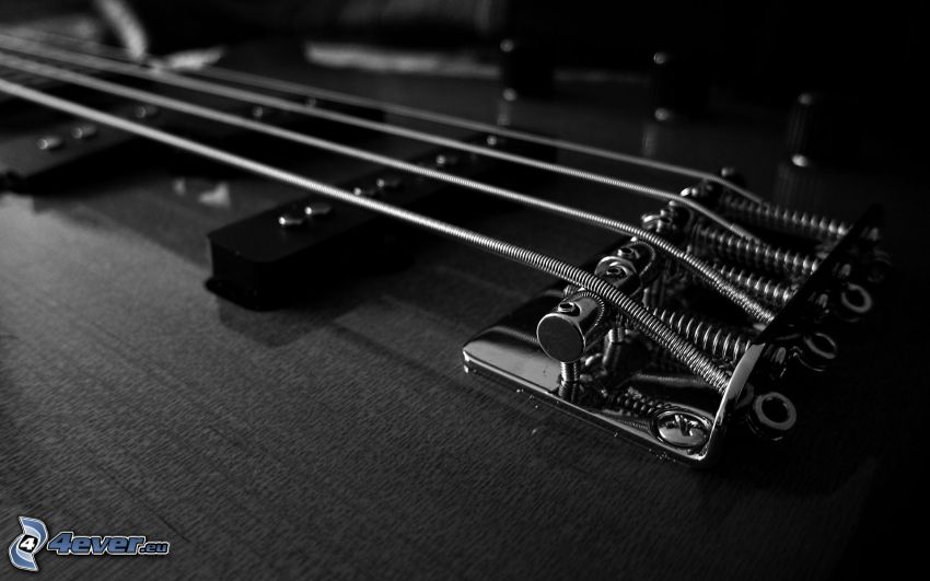 strings, electric guitar