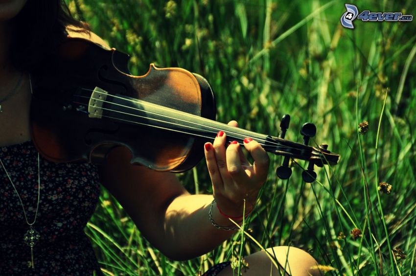 violinist, violin, grass