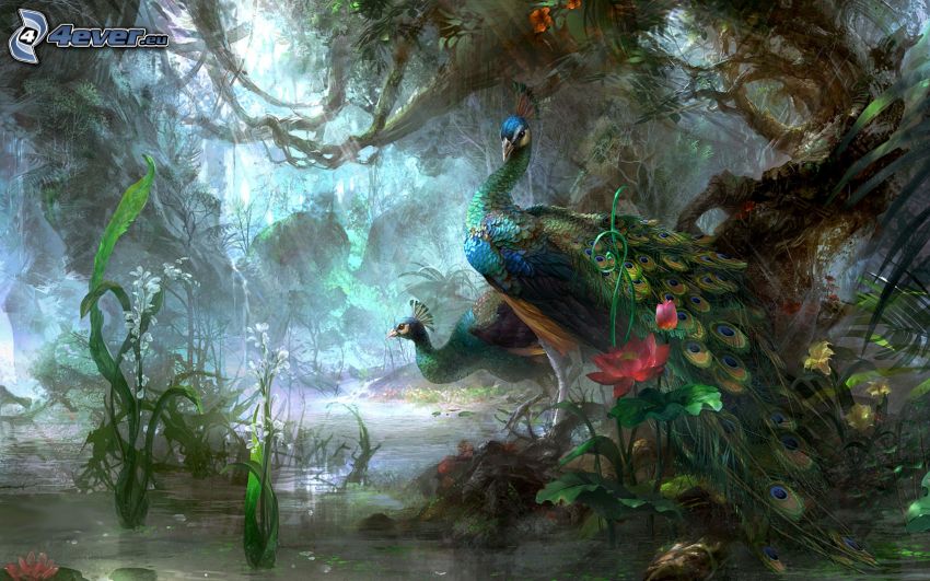 peacocks, forest, swamp