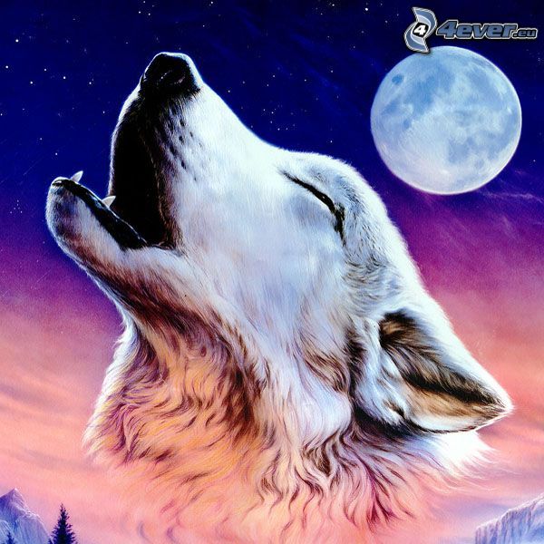 wolf howl, full moon