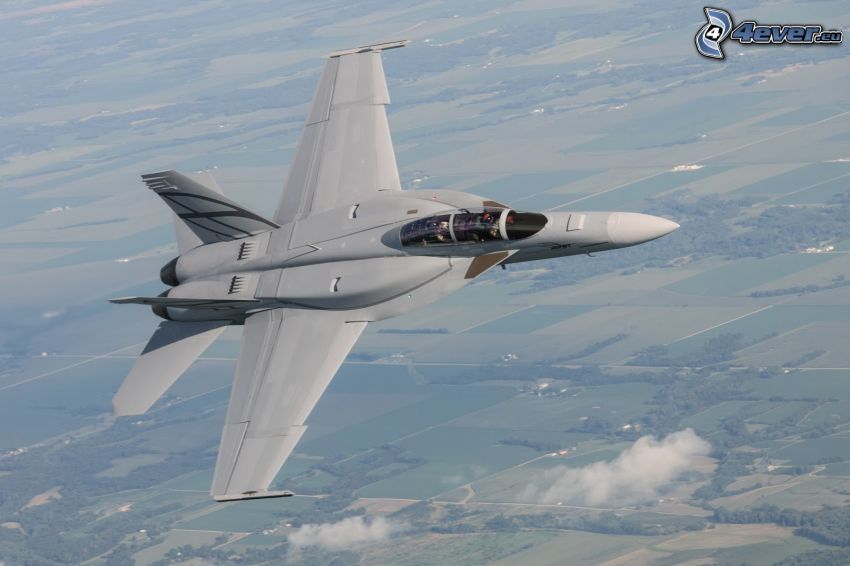 F/A-18E Super Hornet, forests and meadows