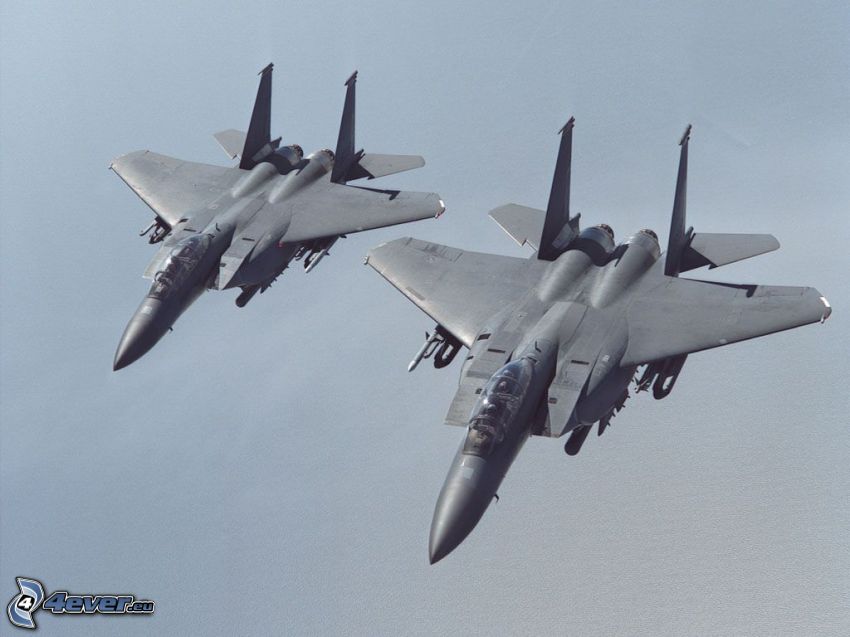 Fleet of F-15 Eagle