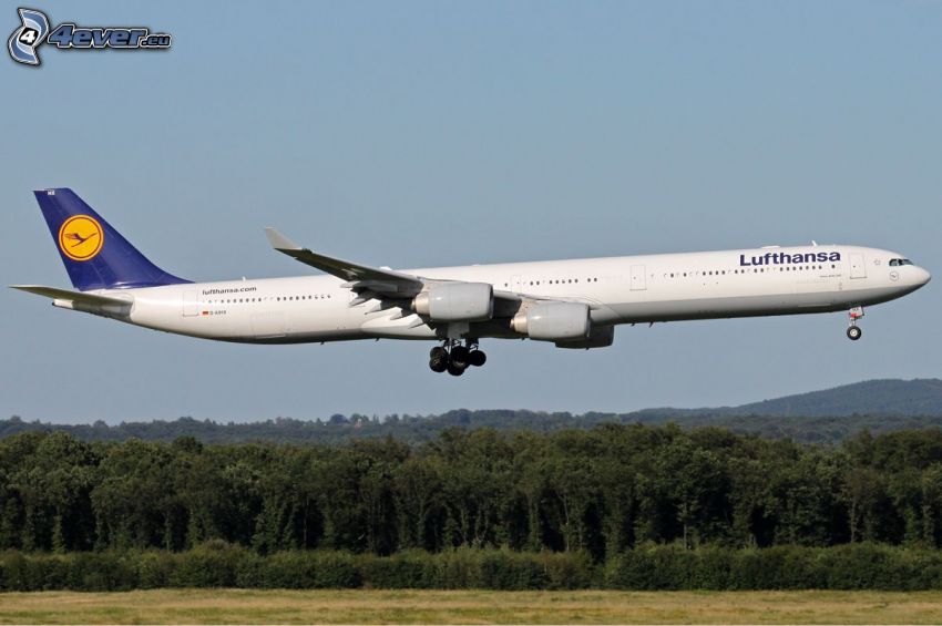 Airbus A340, forest