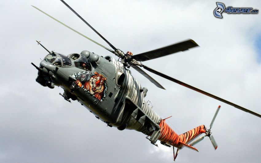 Mil Mi-24, tiger