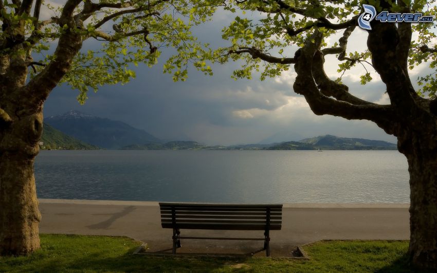 bench near lake, trees, mountain