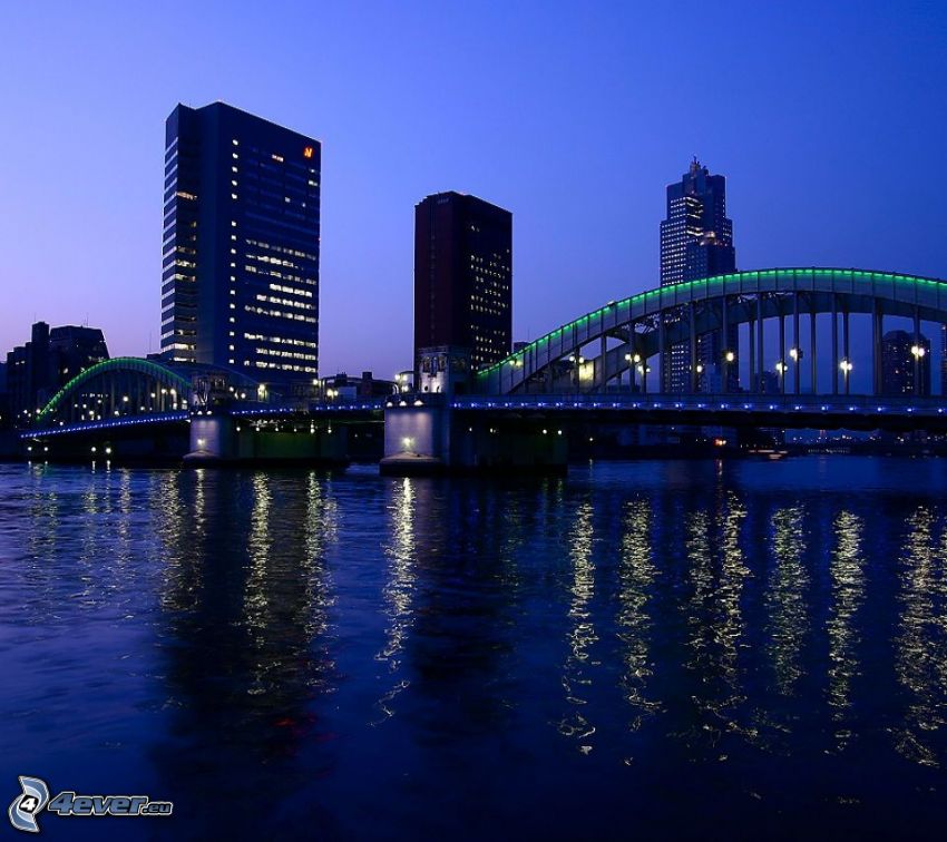 bridge, evening city, River