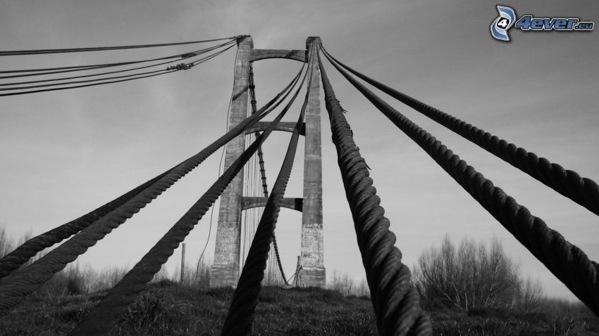 bridge, ropes