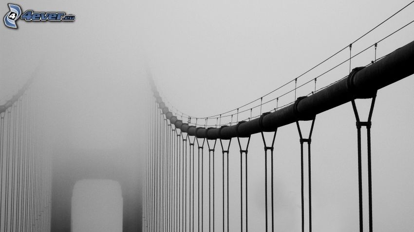 Golden Gate, bridge in fog