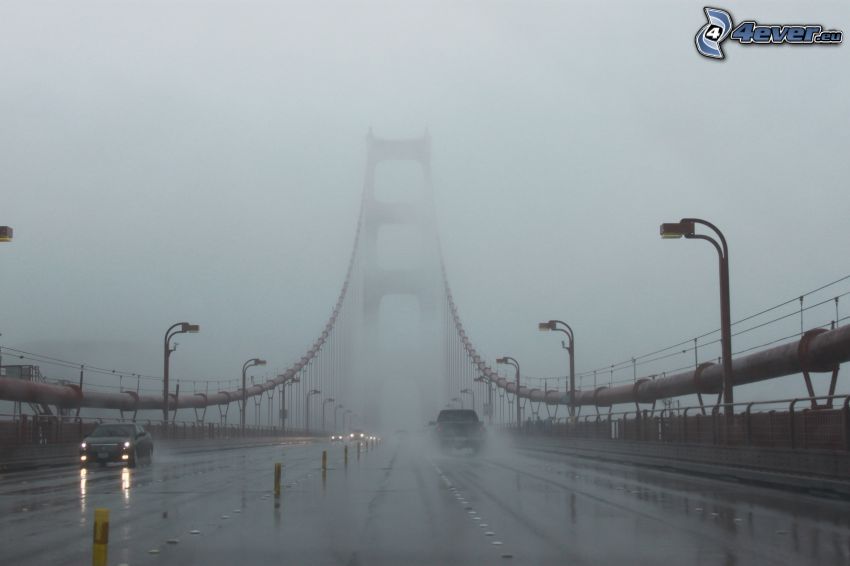 Golden Gate, bridge in fog
