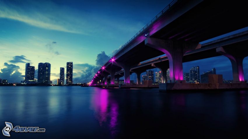 Miami Bridge, highway bridge