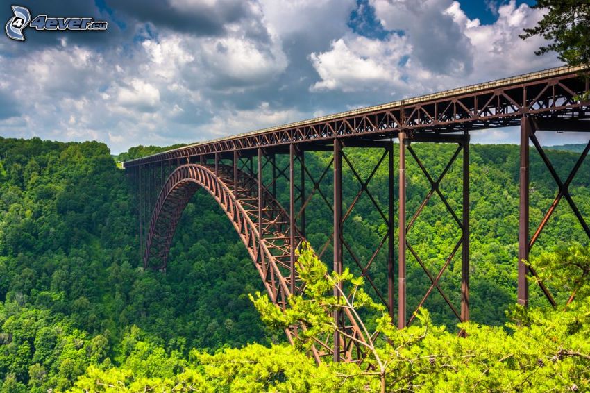 New River Gorge Bridge, forest, HDR