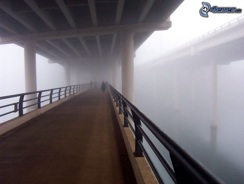 under the bridge, fog, sidewalk, bridges