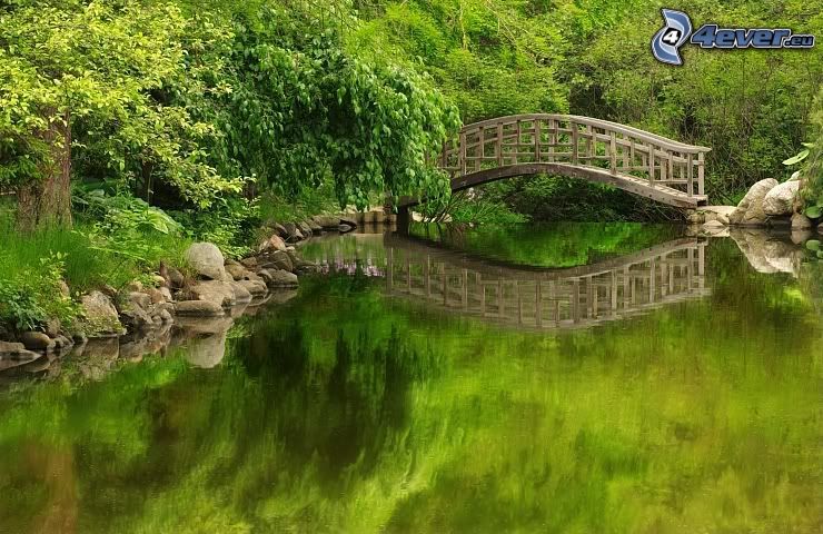 wooden bridge, River