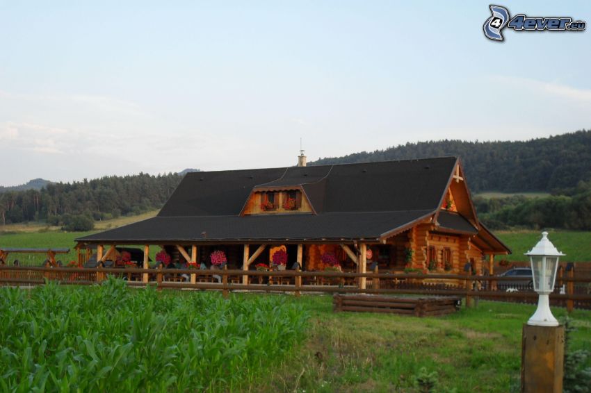 chalet, meadow, nature