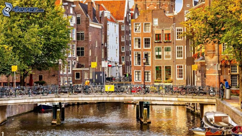 Amsterdam, ditches, bridge, bicycles, houses