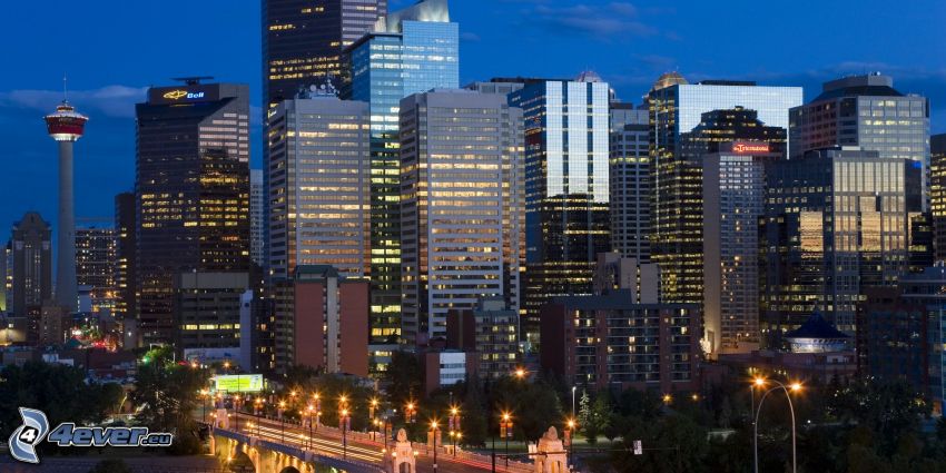 Calgary, skyscrapers, night city