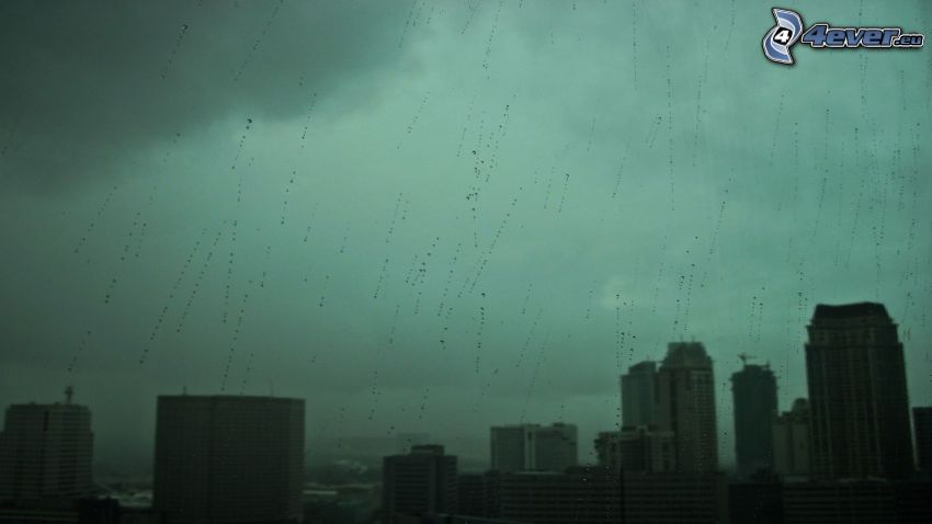 city, rain