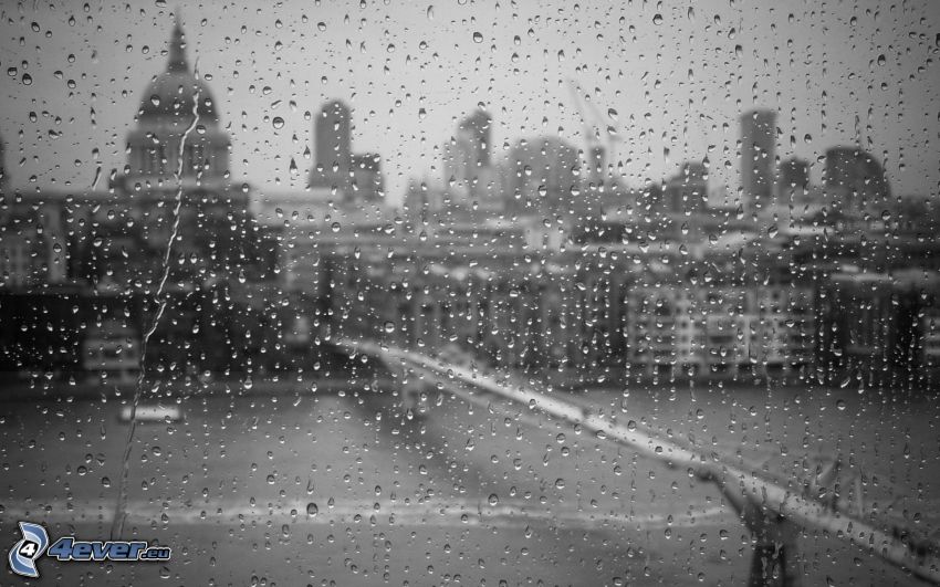 dewy glass, city, black and white photo