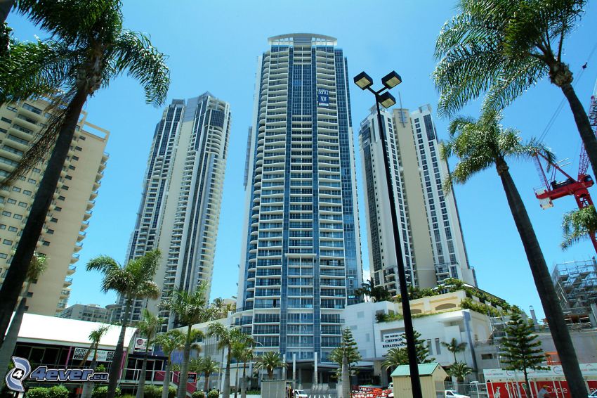 Gold Coast, skyscrapers, palm trees