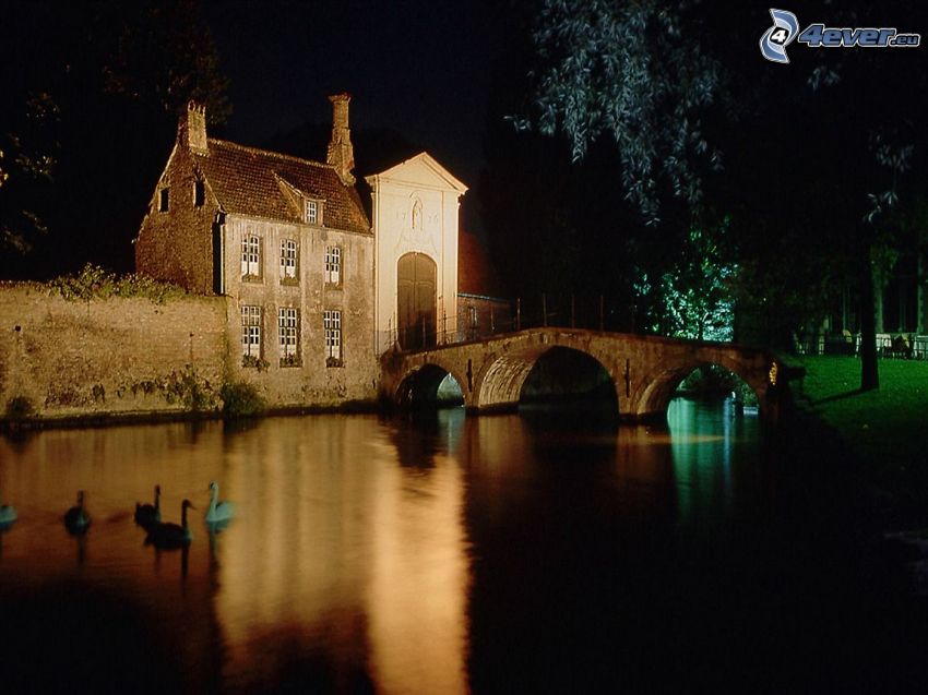 house near the water, darkness, stone bridge, swans