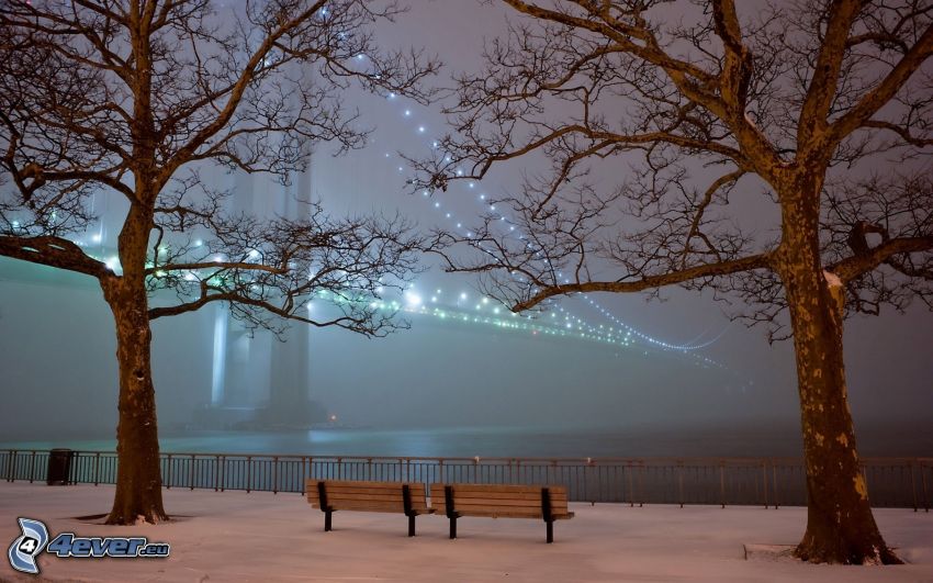 lighted bridge, trees, benches, night