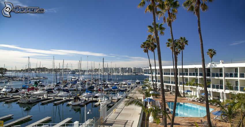 Marina Del Rey, harbor, ships, palm trees, California