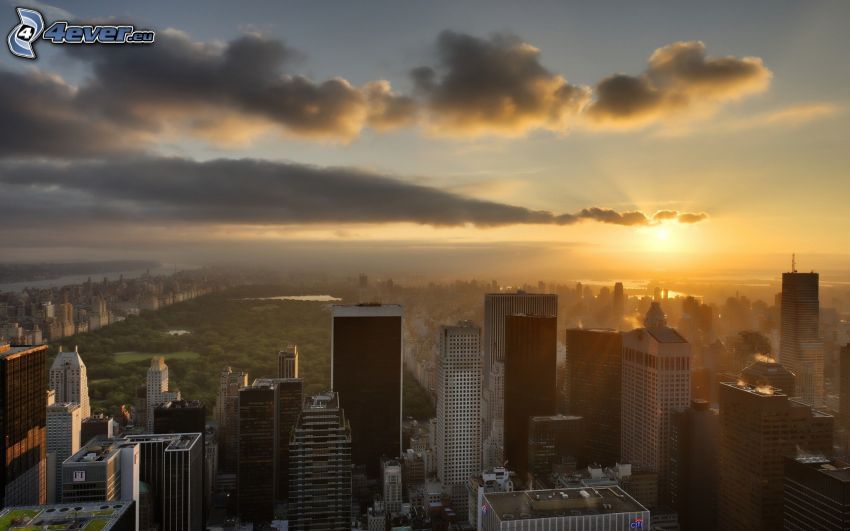 New York, Central Park, sunset over a city