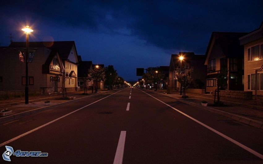 night city, road, houses