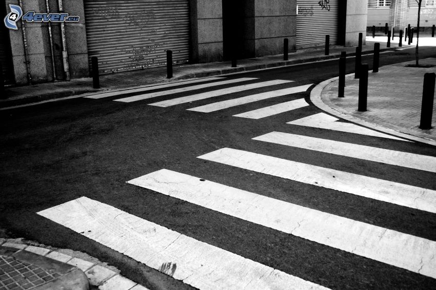 road, zebra crossing, black and white photo