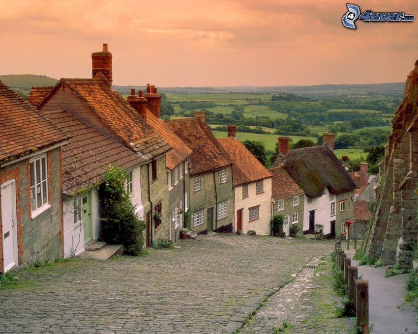 Shaftesbury, village, forests and meadows