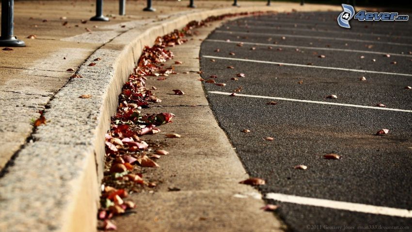 sidewalk, road, car park, dry leaves