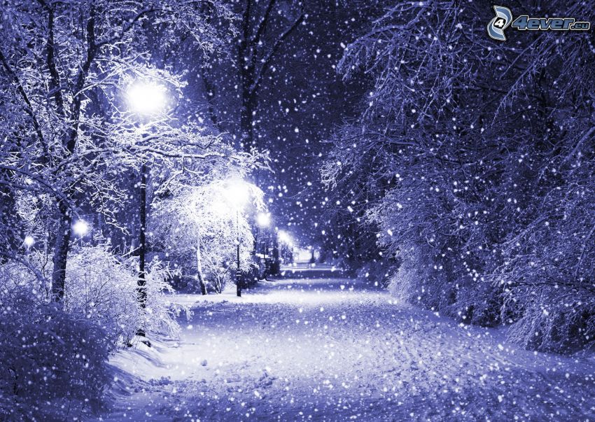 snow-covered road, street lights, snowy trees, snowfall