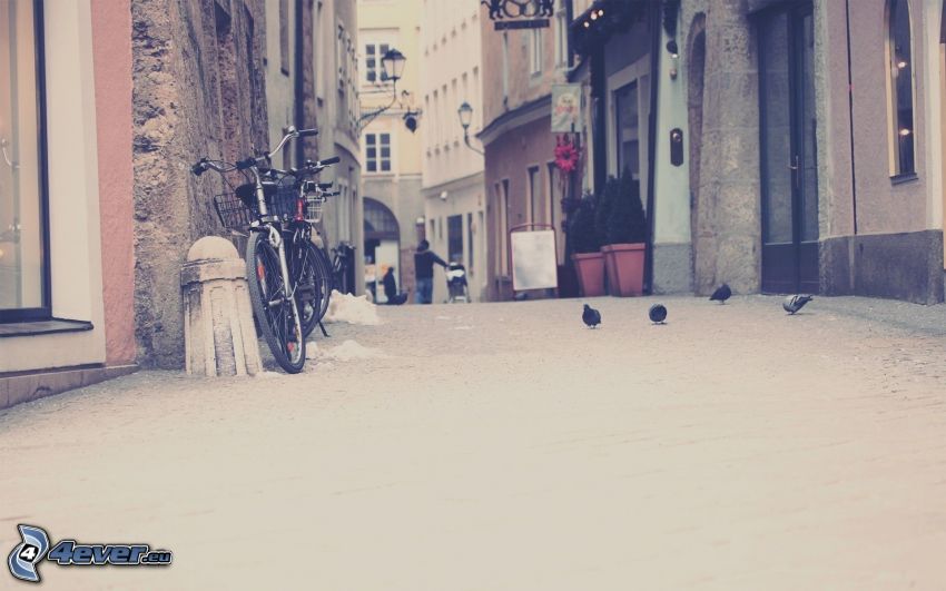 street, bicycle