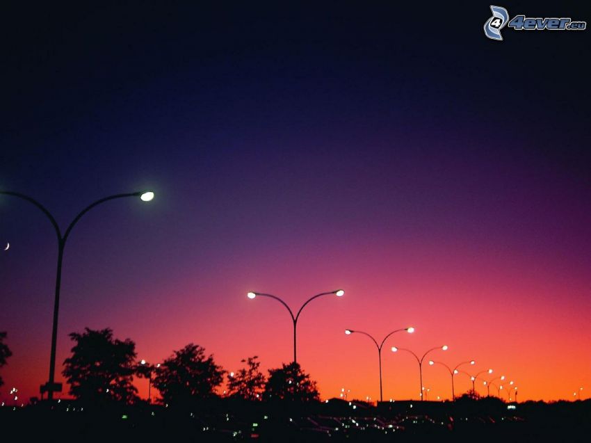 street lights, lamps, evening sky