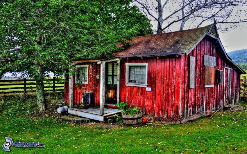 cottage, tree, HDR