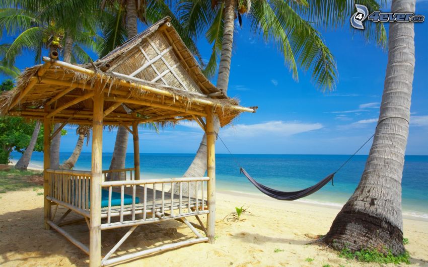 gazebo, hammock, palm tree over sandy beach, sea