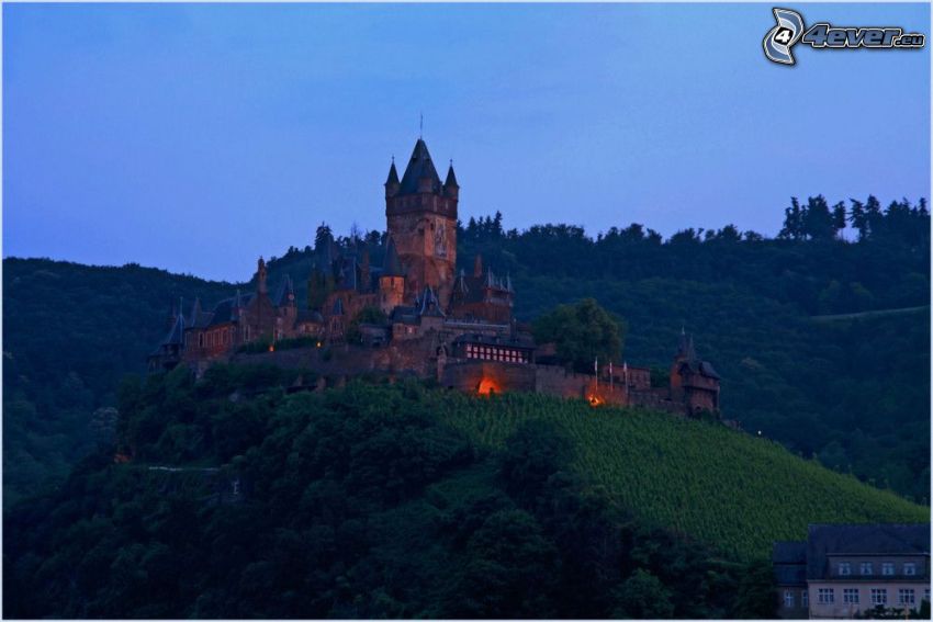 castle, hill, trees