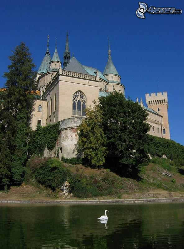 castle Bojnice, lake, swan