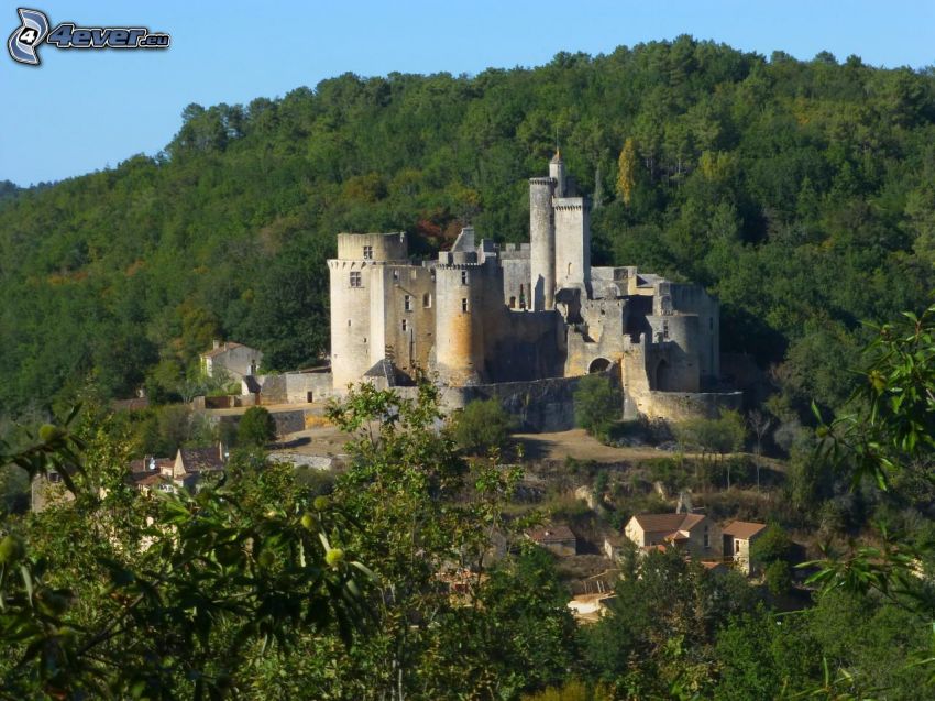 château de Bonaguil, forest