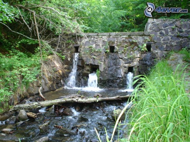 dam, stream, nature, water